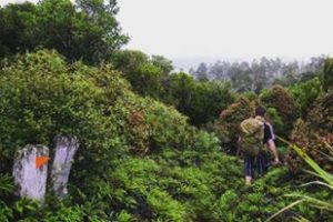 13177457_10154890706989972_5038380203681077099_n