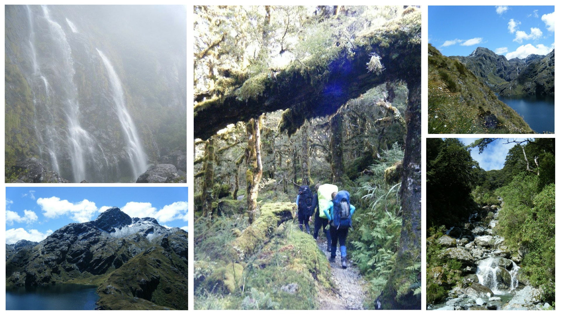 routeburn fnfe